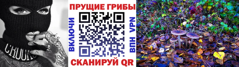 Галлюциногенные грибы MAGIC MUSHROOMS  цены наркотик  Новоузенск 